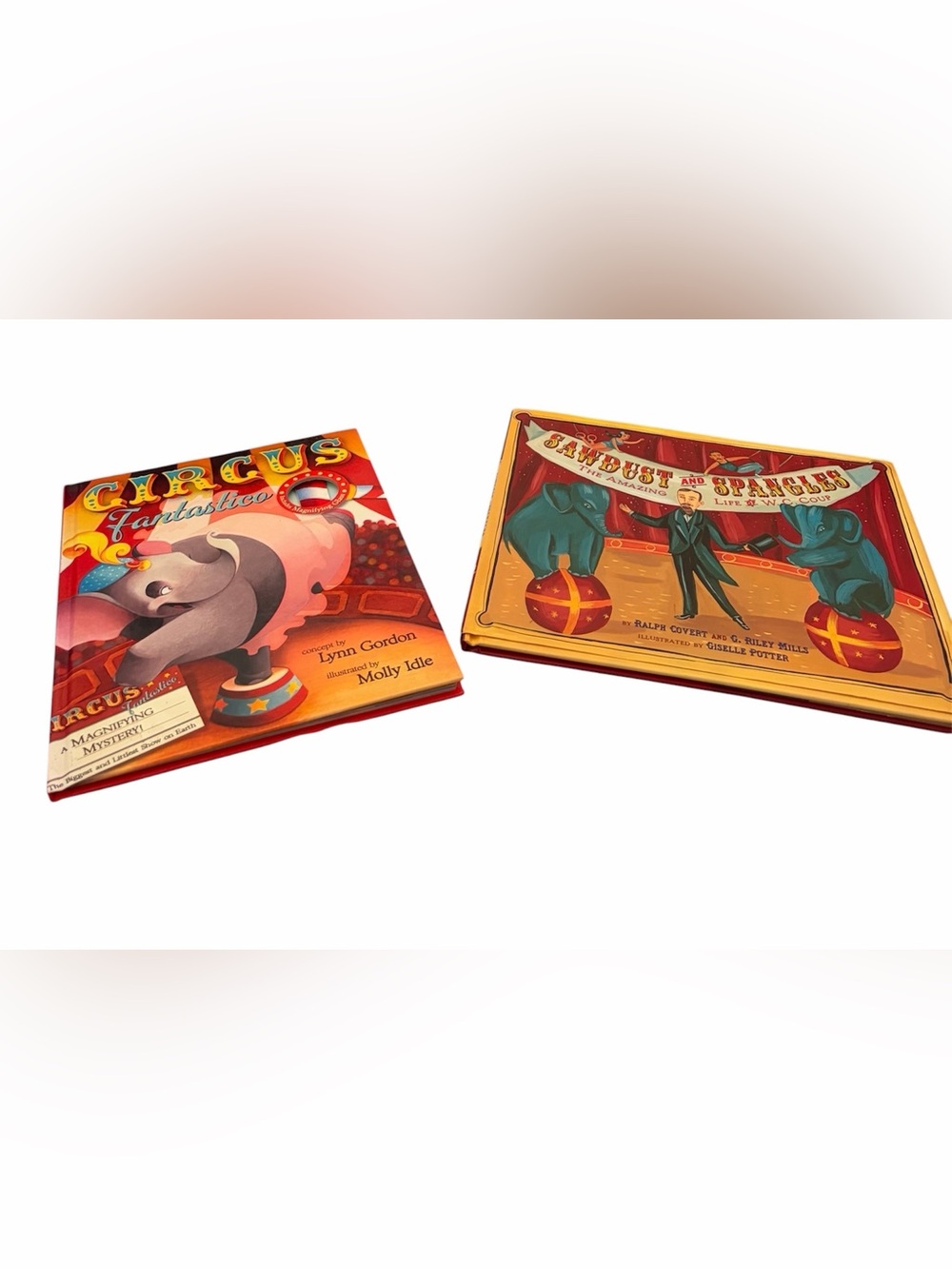 Two kids circus themed books with special feature